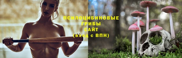 Альфа ПВП Нефтегорск