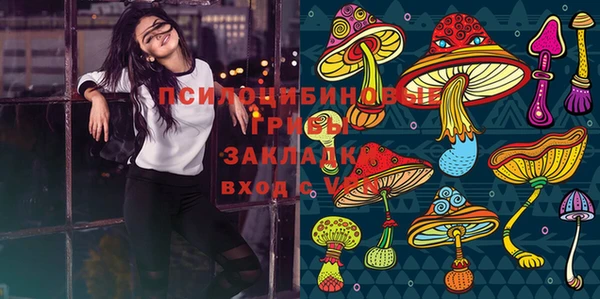 гашик Нея