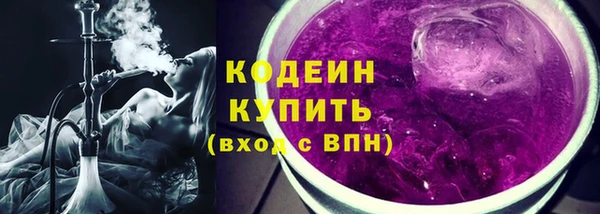 гашик Нея