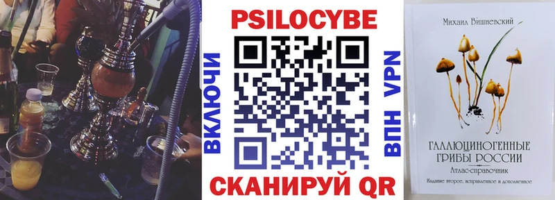 даркнет сайт  Чернушка  Псилоцибиновые грибы MAGIC MUSHROOMS 